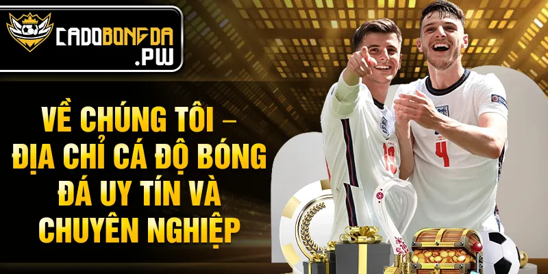 Về chúng tôi – Địa chỉ cá độ bóng đá uy tín và chuyên nghiệp