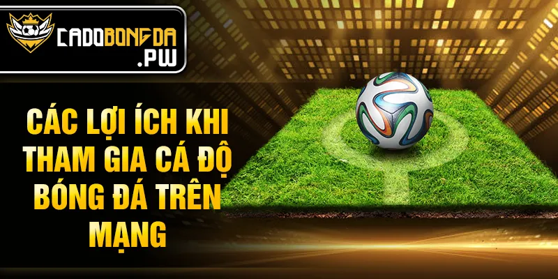 Các lợi ích khi tham gia cá độ bóng đá trên mạng