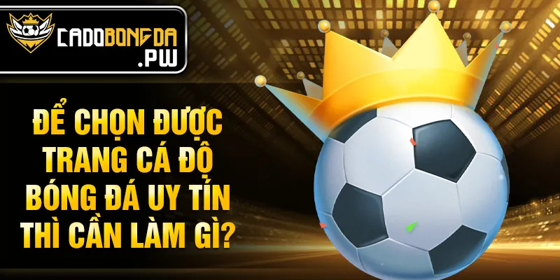 Để chọn được trang cá độ bóng đá uy tín thì cần làm gì?