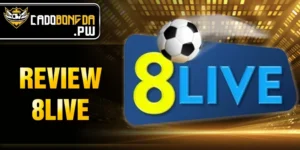 Review 8LIVE