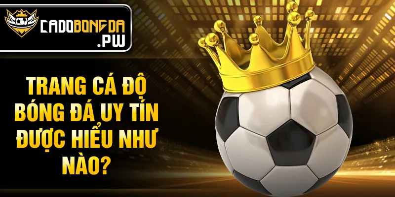 Trang cá độ bóng đá uy tín được hiểu như nào?