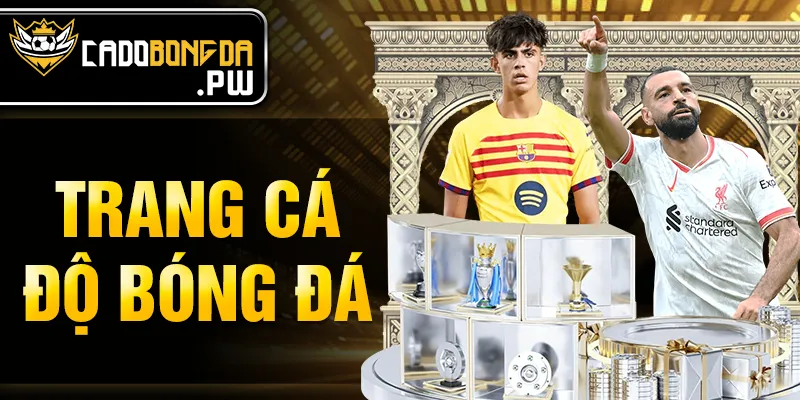Trang cá độ bóng đá