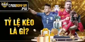Tỷ lệ kèo là gì