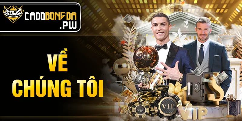 về chúng tôi