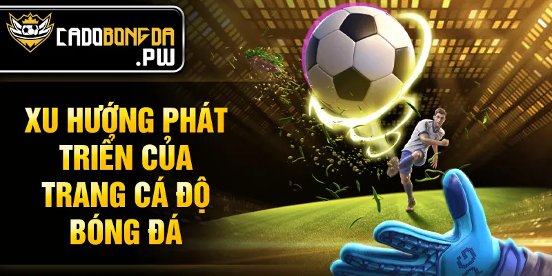 Xu hướng phát triển của trang cá độ bóng đá
